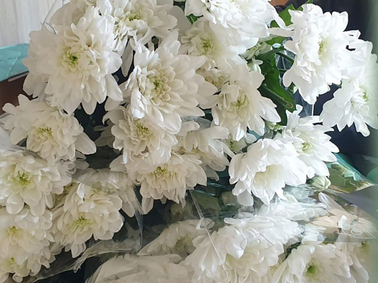 Калининградский Россельхознадзор не пропустил в регион хризантемы с белой ржавчиной