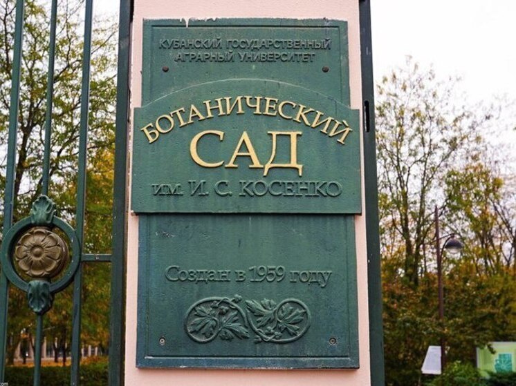 Ботанический сад имени И.С. Косенко в Краснодаре временно закроют 3 октября