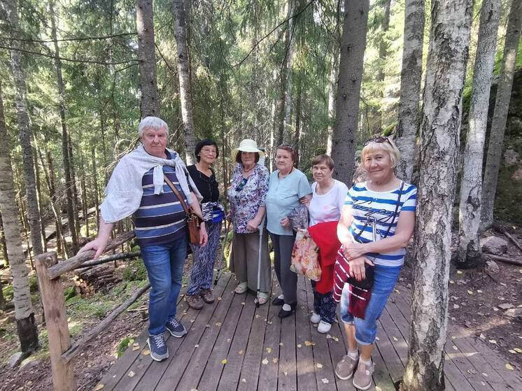 Пожилые ленинградцы смогут бесплатно посещать некоторые музеи и парки