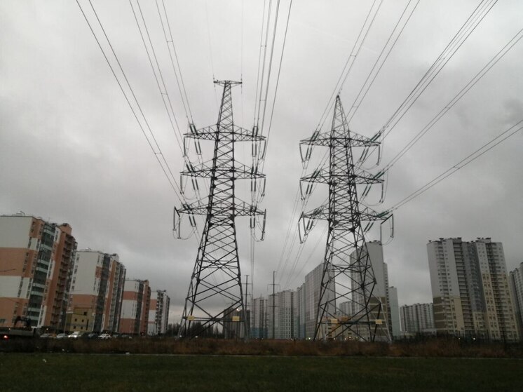 Под Петербургом очистили опоры ЛЭП от незаконных проводов