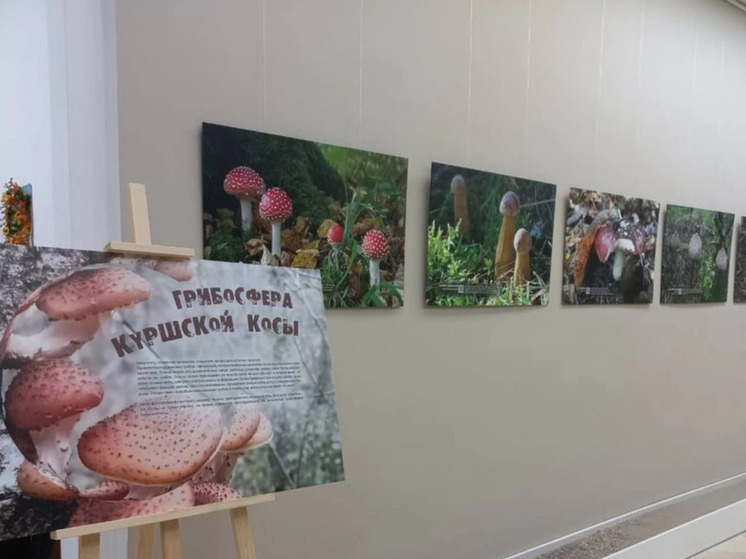 Музейный комплекс на Куршской косе перешёл на осенне-зимнее расписание