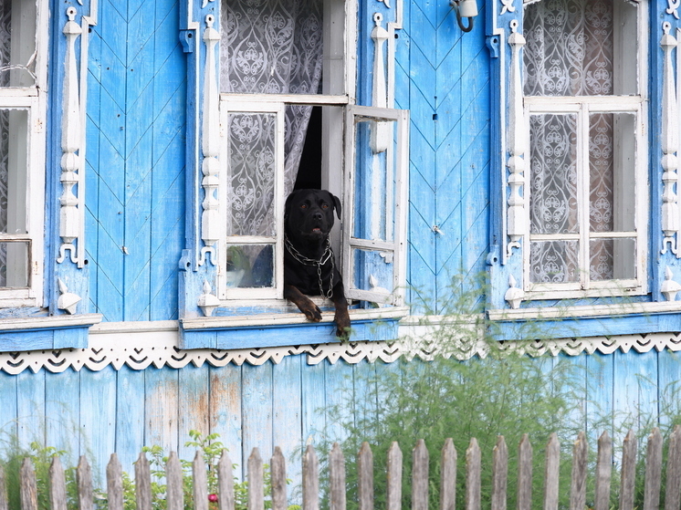 В Челябинской области обвалились цены на дачи и коттеджи