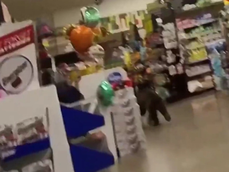 Un ourson est entré dans un supermarché en Arizona et a été surpris.