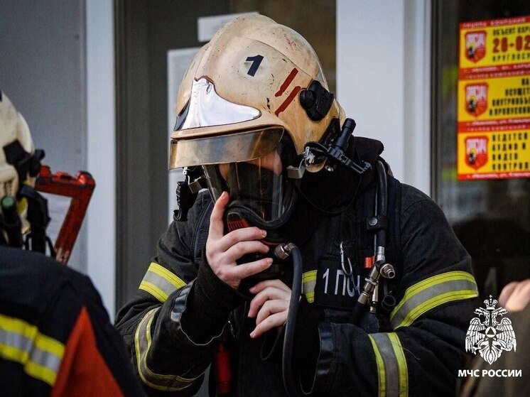 В Приморье создали 400 патрульных групп для борьбы с природными пожарами