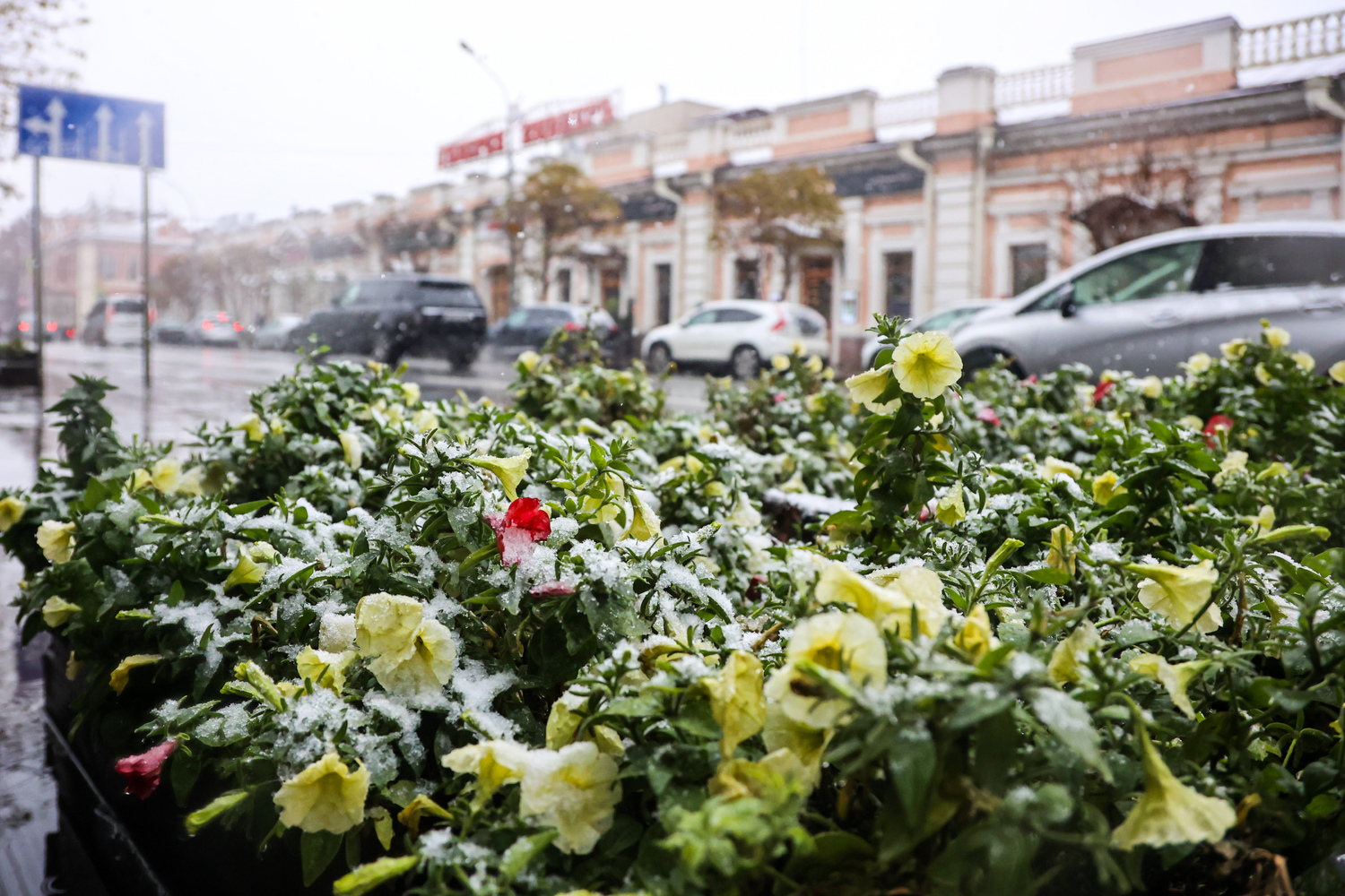 Иркутск под снегом
