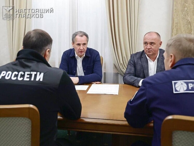 Вячеслав Гладков встретился с генеральным директором «Россети Центр»