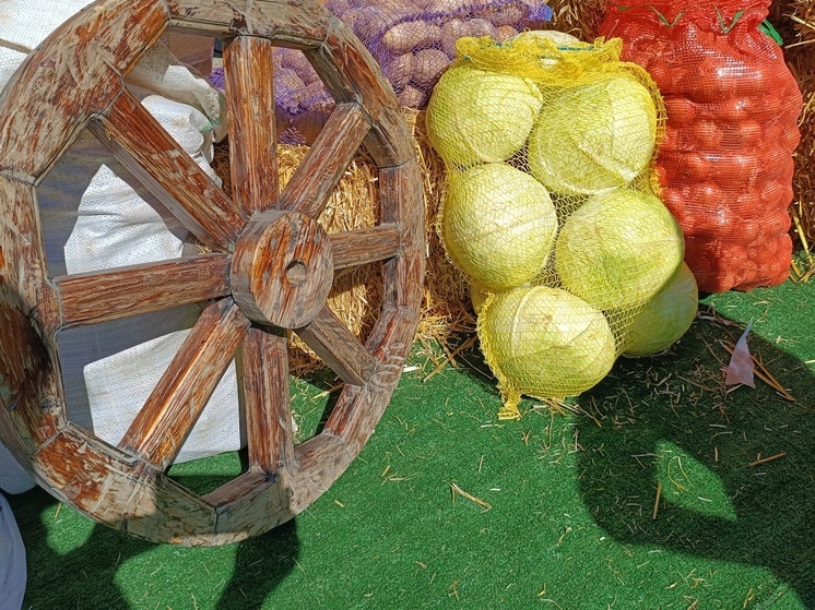 В Ингушетии взяли на контроль цены на социально значимые продукты