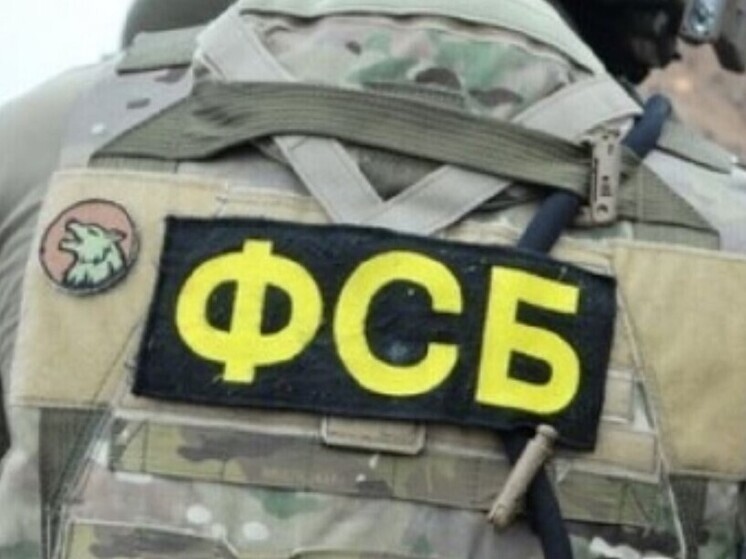Задержали преступников, причастных к подготовке массовых убийств в Орле и других городах