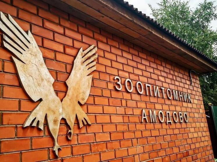 Зоопитомник «Амодово» под Читой откроется после гибели сотрудника