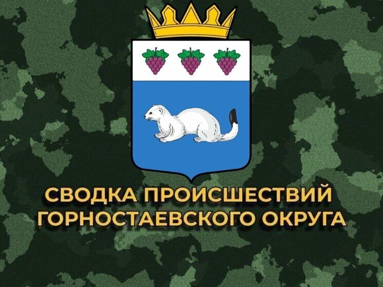 За сутки боевики ВСУ 15 раз обстреляли Горностаевский округ