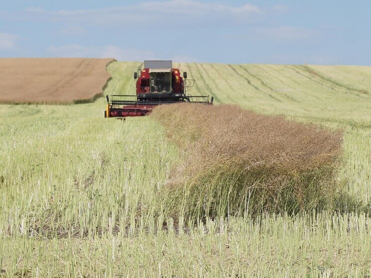 В Хакасии аграрии вышли на финишную прямую уборочной кампании