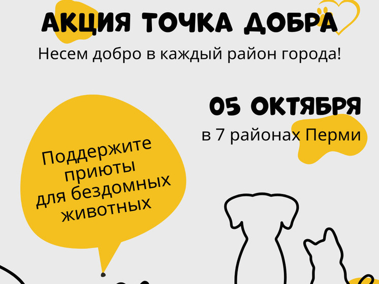 5 октября в Перми пройдет благотворительная акция «Точка добра» в помощь приютам