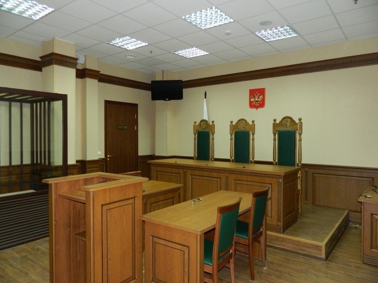 Владимирский областной суд ужесточил приговор за зверское убийство в Петушках