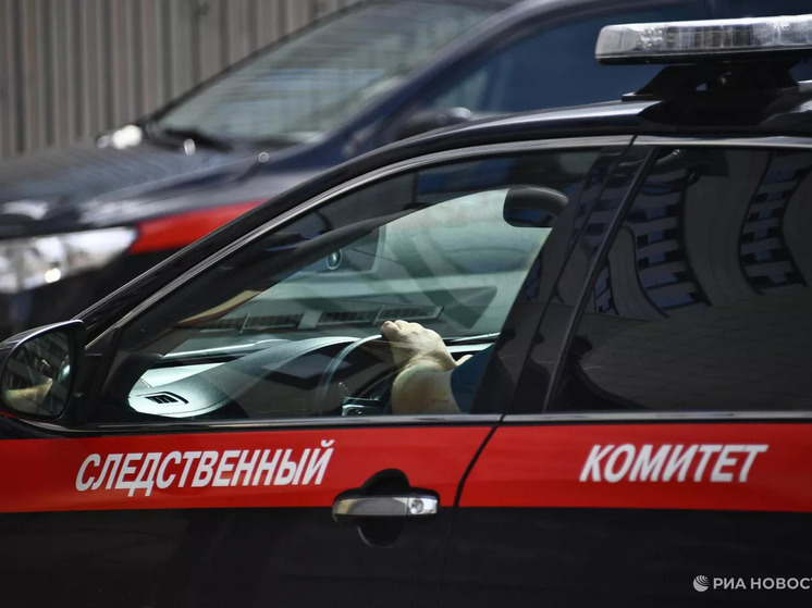 СК РФ организовал расследование по факту смертельной атаки ВСУ на Херсонскую область
