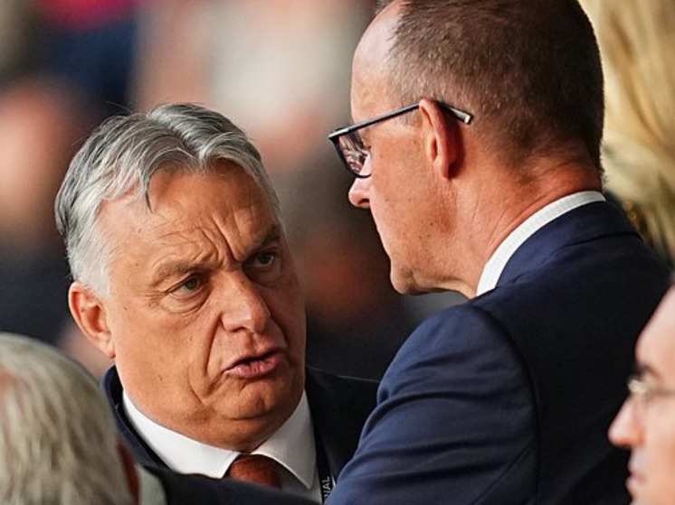 Bloomberg: Мерц обрушился с критикой на Орбана из-за Украины