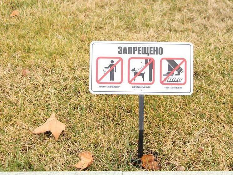 Екатеринбурженка получила спорный штраф от каршеринга за парковку на газоне в Сочи