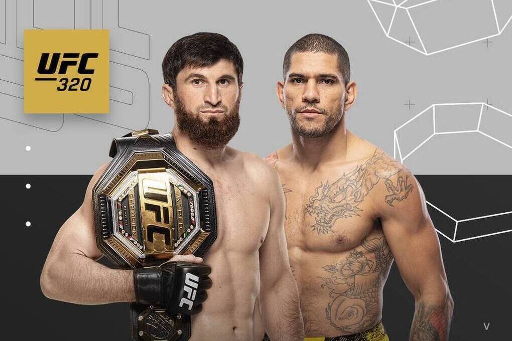 Махачев и Маддалена встретятся в октагоне 16 ноября