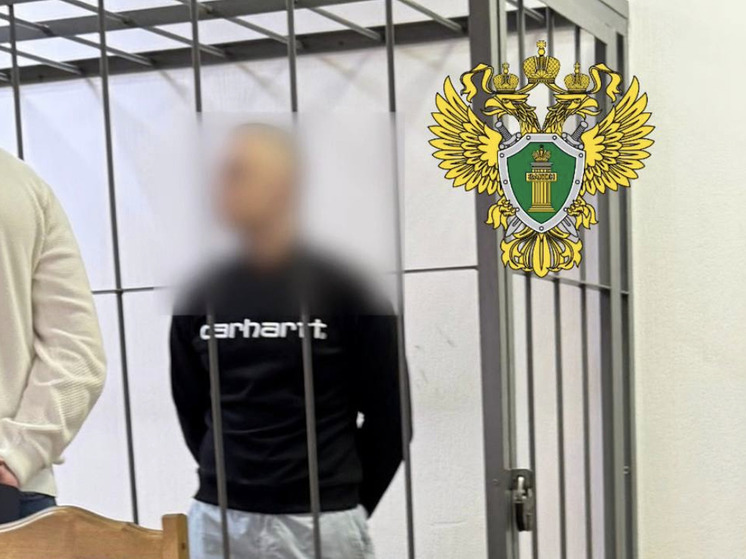 В Северодвинске осудили омича за оформление поддельных банковских карт