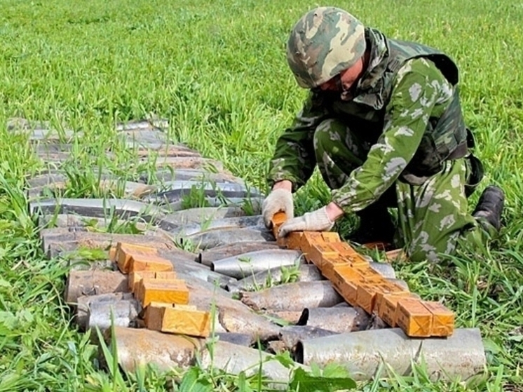 С 1 по 31 октября на полигоне «Кингисепп» будут проводить утилизацию боеприпасов