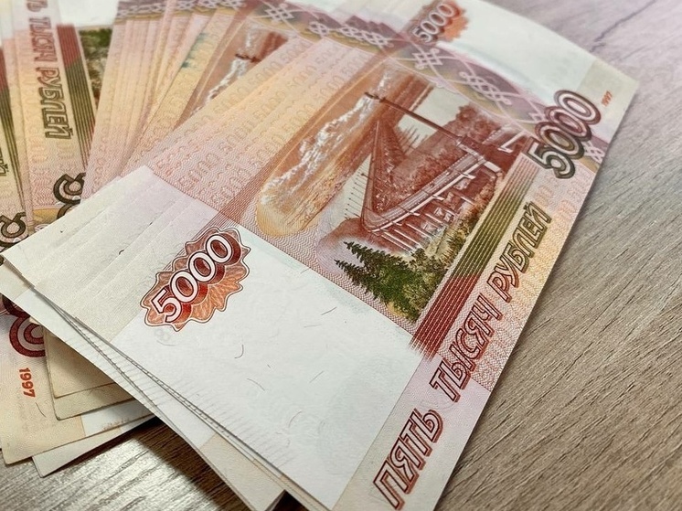Суд взыскал 350 тысяч с жителя Тулы за мошенничество с соцвыплатой