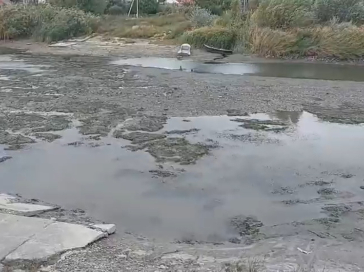 Река Азовка в Ростовской области катастрофически обмелела из-за ветра