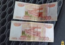В Геническом округе Херсонской области задержали жителя Санкт-Петербурга