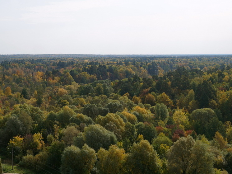 Синоптики в Марий Эл выпустили экстренное предупреждение
