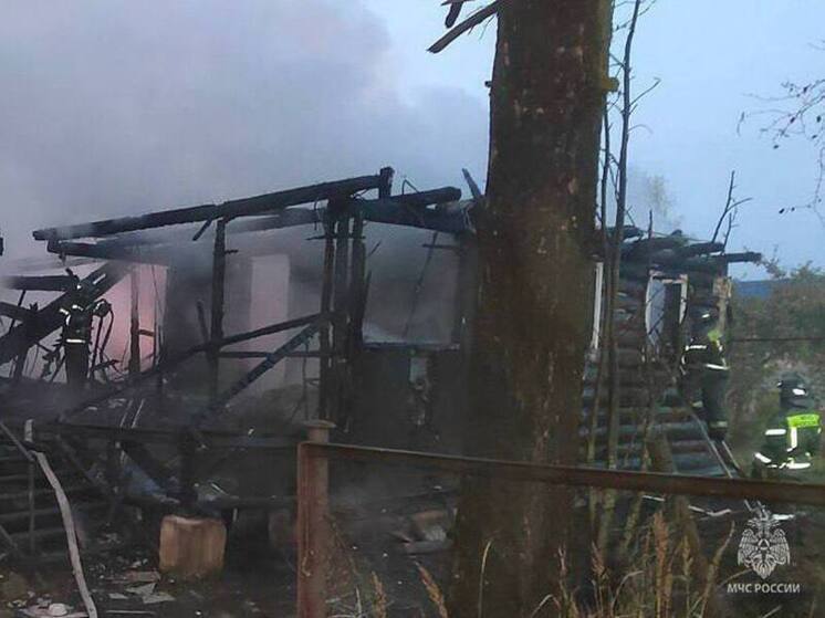 В Любани при пожаре погибли мать и трое детей