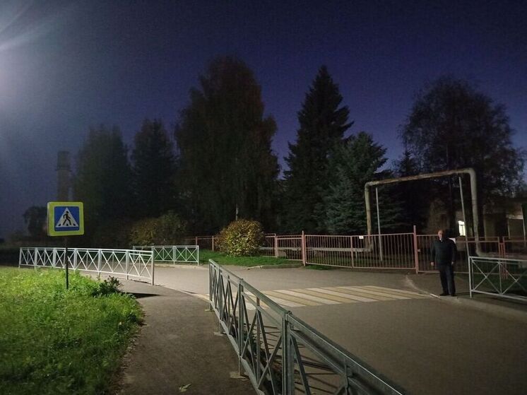 Сергей Зудин проконтролировал состояние уличного освещения рядом с социальными объектами в Сущевском сельском поселении Костромского района