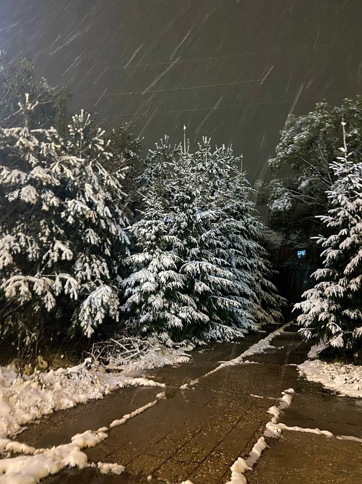 В Гидрометцентре сообщили, что в России будет более холодная зима, чем прошлая