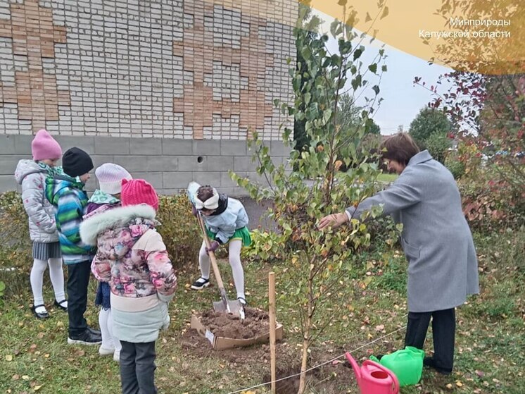 Юные лесничие Калужской области высадили более двух тысяч елей