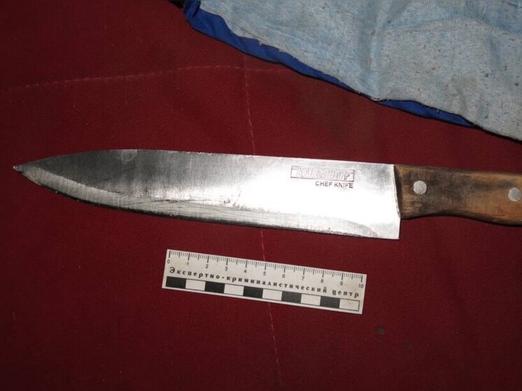 Житель Козьмодемьянска напал на полицейских и угрожал им ножом