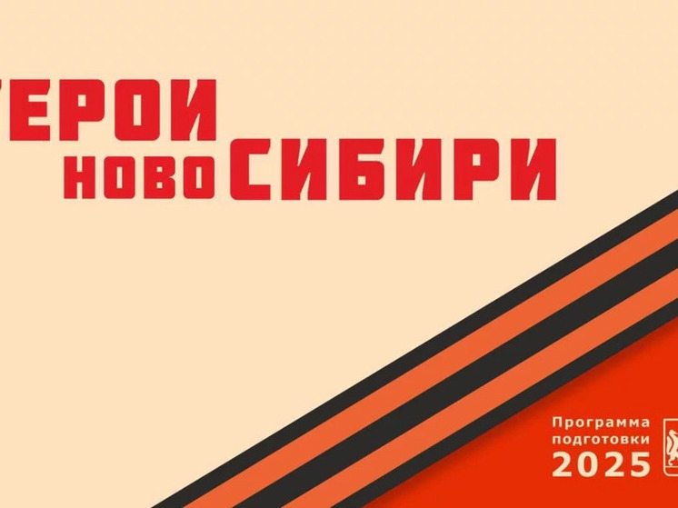 Участники проекта «Герои НовоСибири» приступили к изучению экономики региона