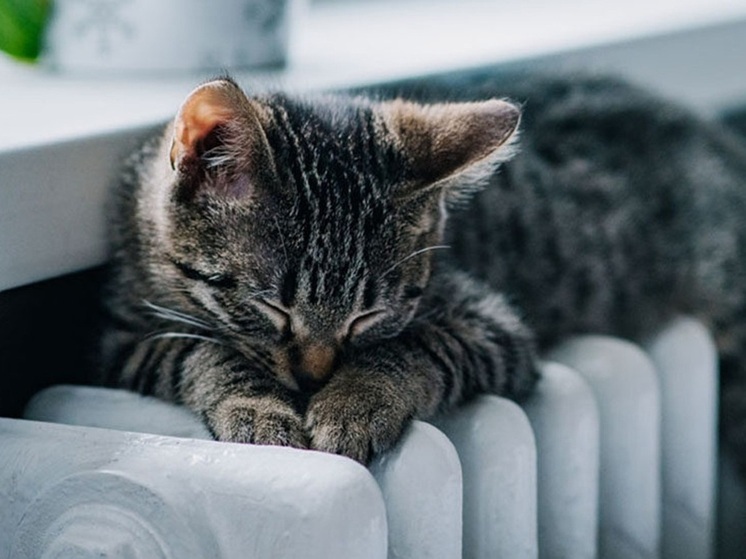 Все многоквартирные дома Луганска готовы к отопительному сезону — администрация города