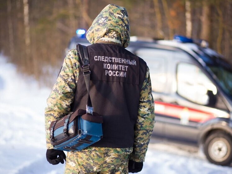 В Тверской области мигрант задушил женщину шнуром от зарядки, а после похитил ее деньги и телефон