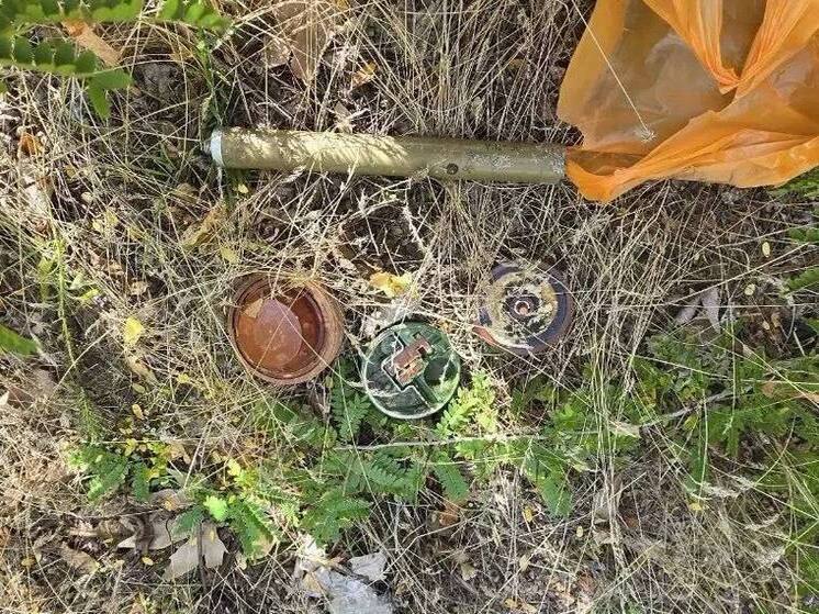 На территории школы в Таврийске нашли самодельное взрывное устройство
