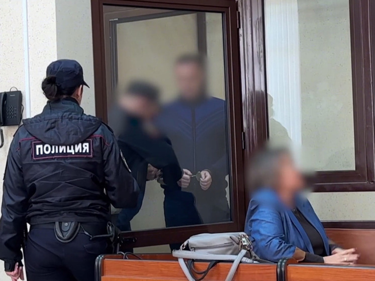 Экс-помощник главы МЧС Крыма получил 6 лет колонии за мошенничество