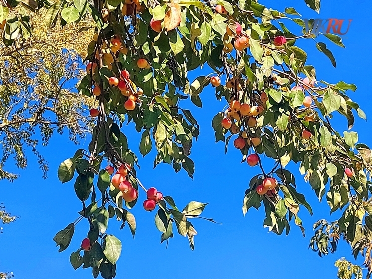 Калужские синоптики обещают неплохую пятницу