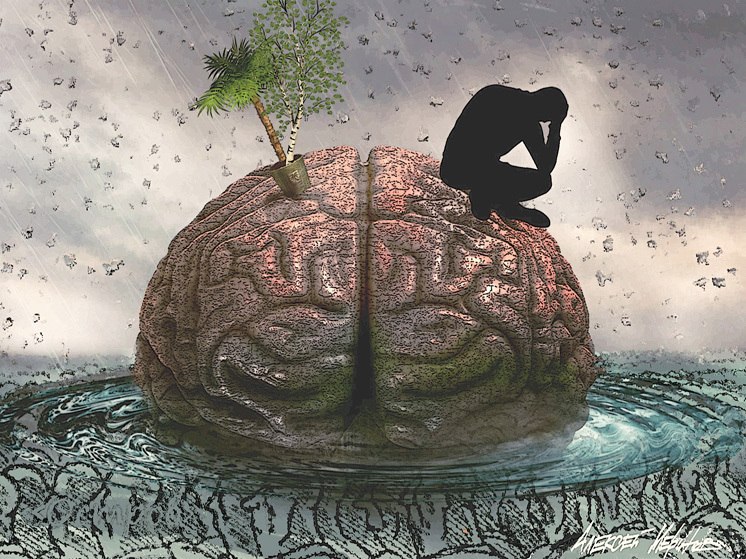 Коллекционер жизни