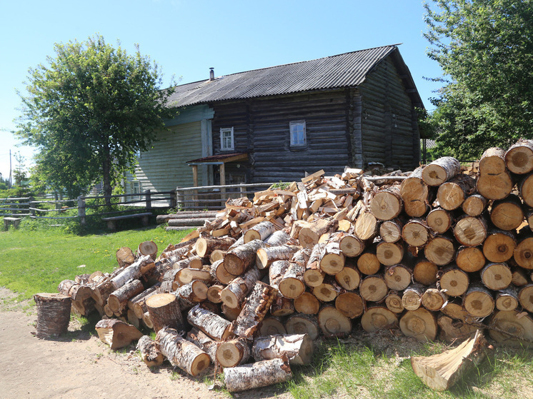 Дров нет, но вы держитесь: как получить отопление на зиму совершенно бесплатно