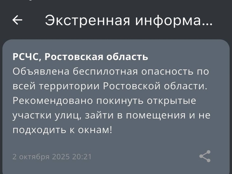 На Дону вечером 2 октября объявили беспилотную опасность