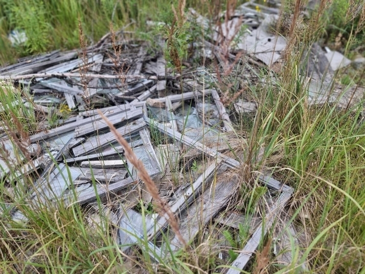 Загрязнённый химикатами сельхозучасток обнаружили в Великих Луках