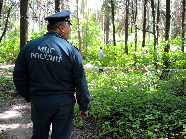 В Красноярском крае обследовано 20 кв. км лесного массива в поисках семьи туристов