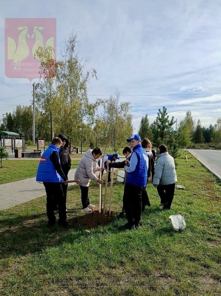 В Покрове появилась Аллея Героев