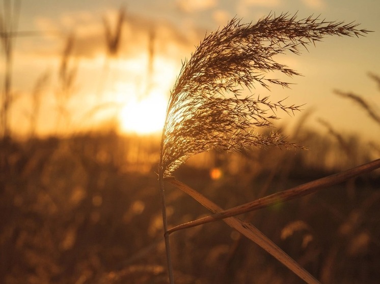 Восемь мест для отдыха в Хабаровском крае осенью