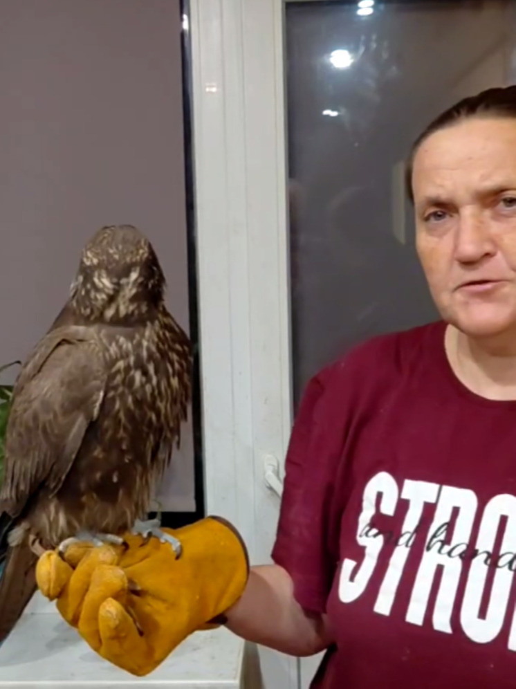 Глава калужского «Феникса» станет спикером в Общественной палате РФ