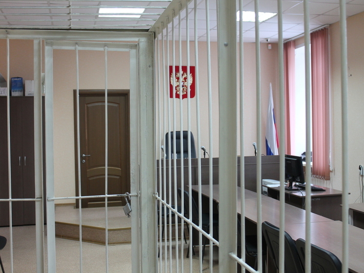Новосибирского адвоката отправили в колонию за мошенничество с деньгами клиентов