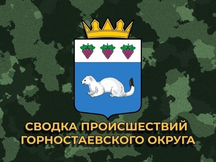 За минувшие сутки боевики ВСУ 17 раз обстреляли Горностаевский округ