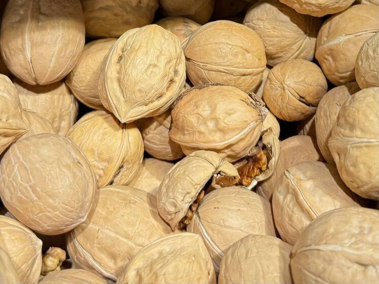 Осенние ярмарки «Покупай ставропольское» ждут жителей Ставрополя