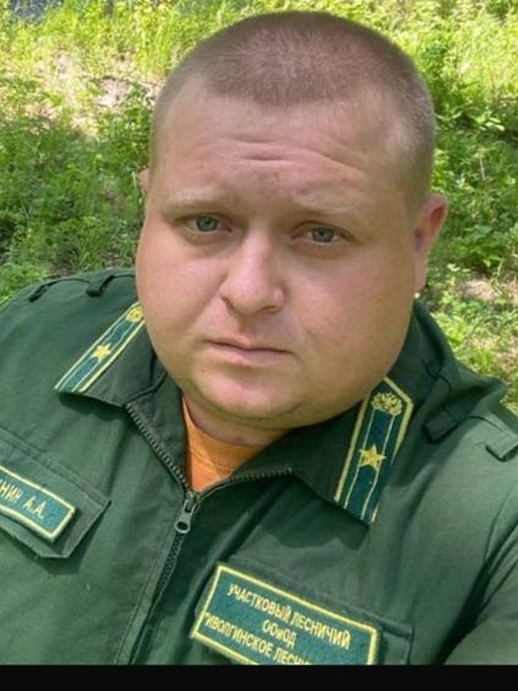 Участковый лесничий в Бурятии осужден на 4,5 года за систематическое взяточничество